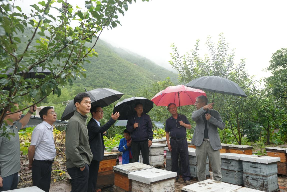 党建事情-8868体育平台